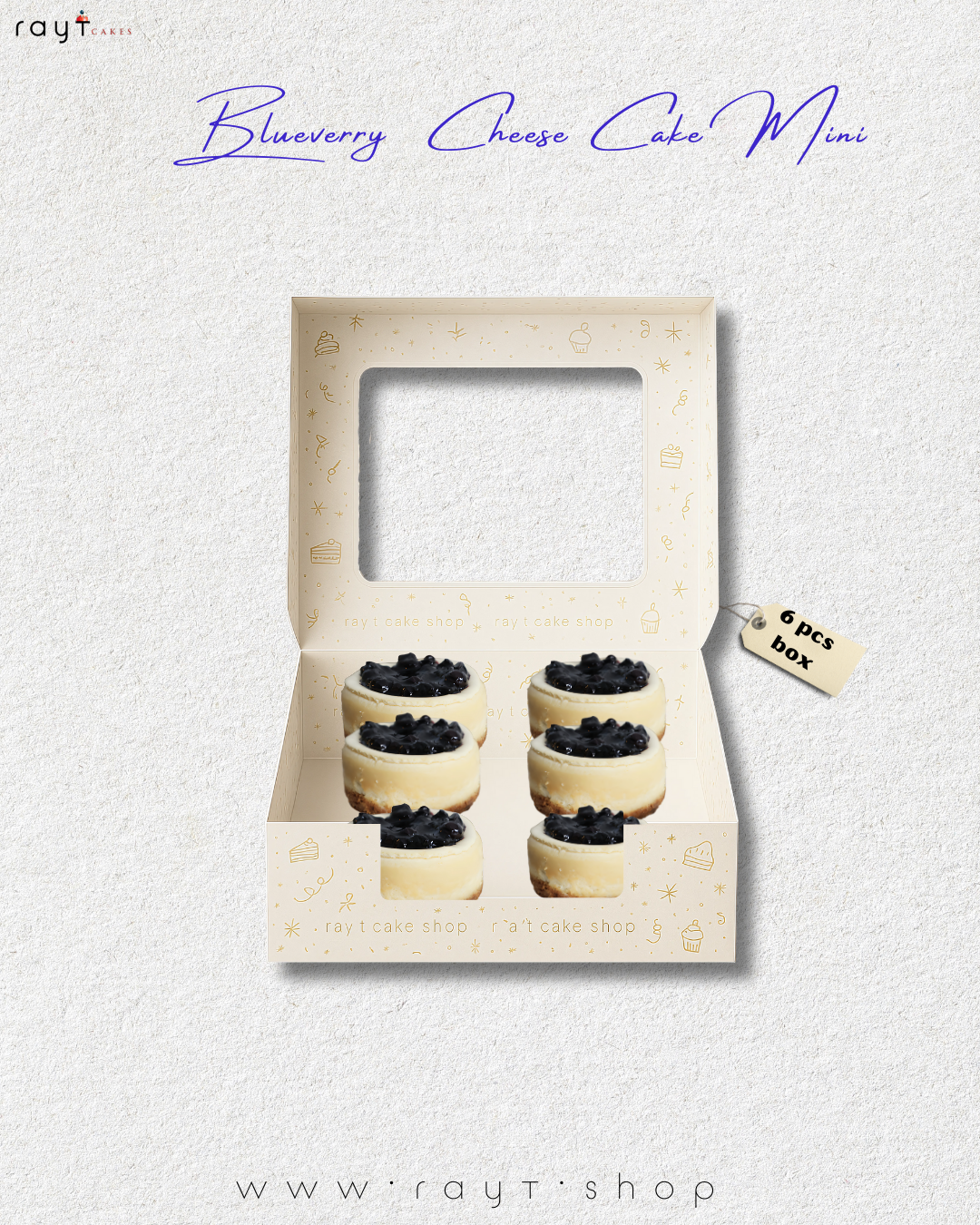 Blueberry Cheesecake Mini